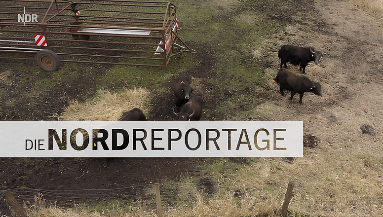nordreportage (1)